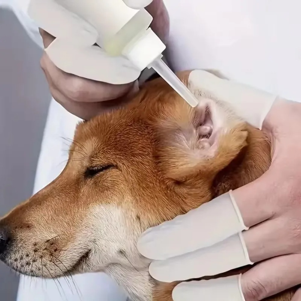 20 шт./100 шт. одноразовые лат – обзор и цена Latex Disposable Glove